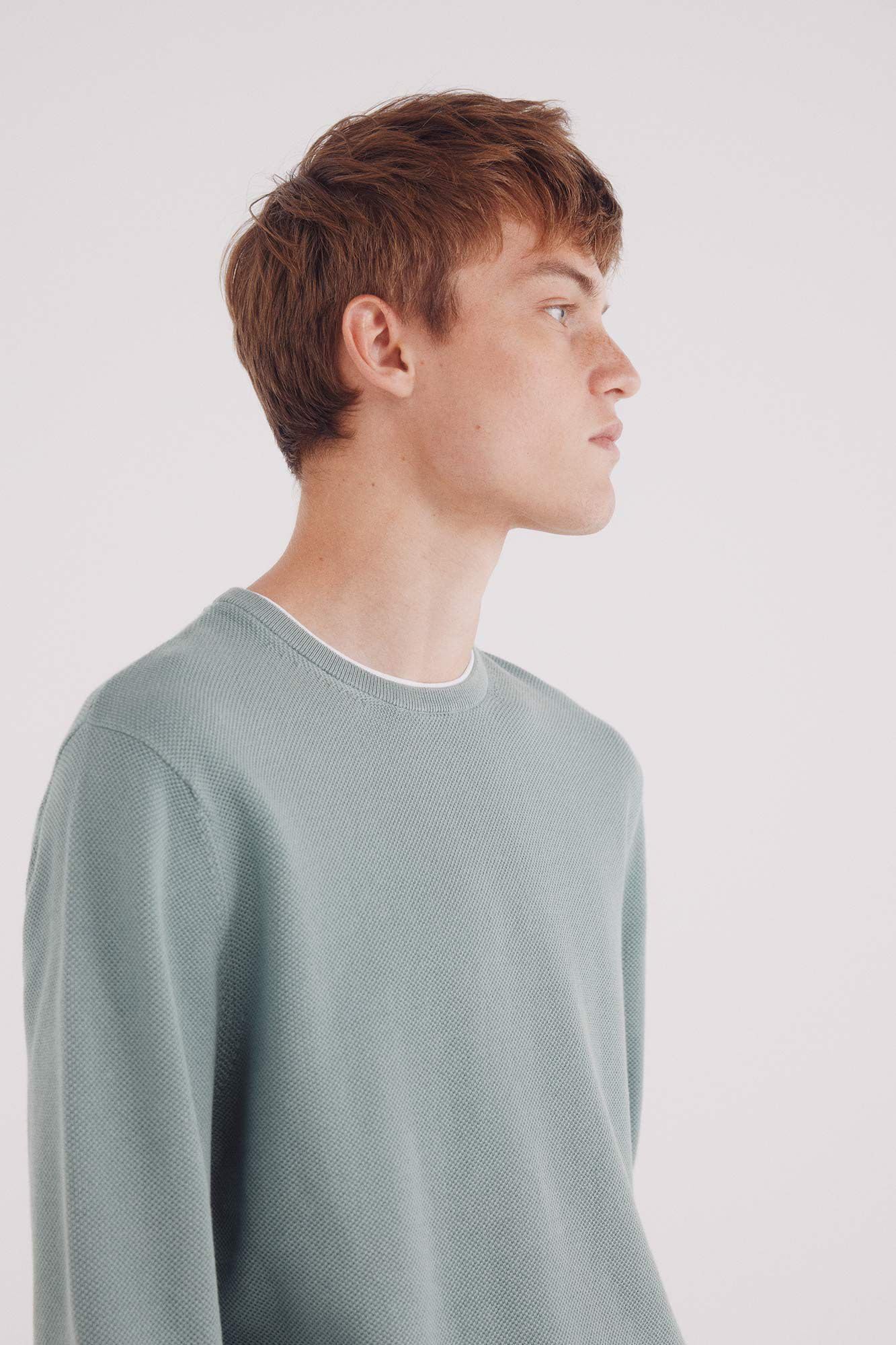 Springfield Pull Basique Homme