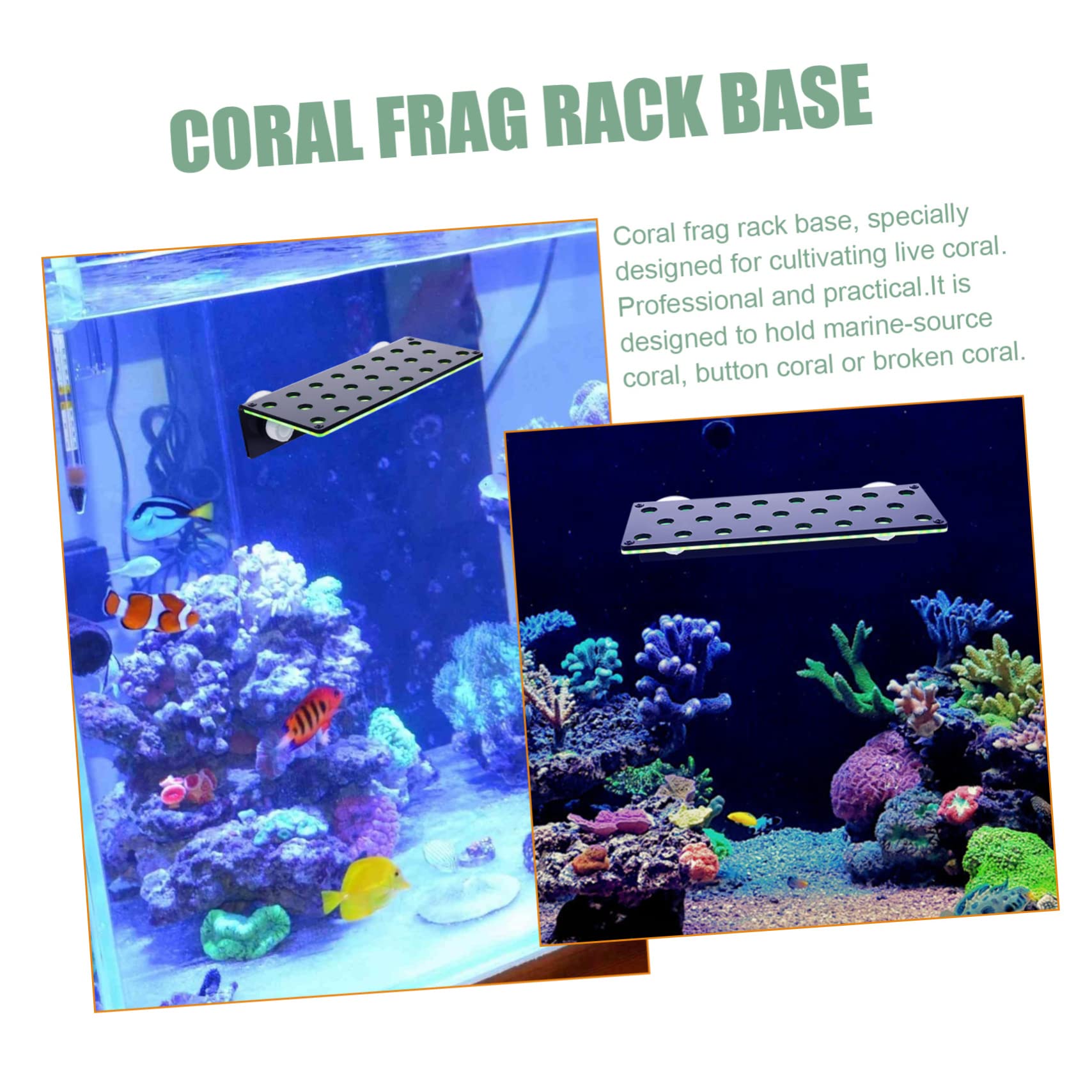 Amazon.co.jp: UKCOCO 2 サンゴ サポート フラグ ラック サンゴ フラグ