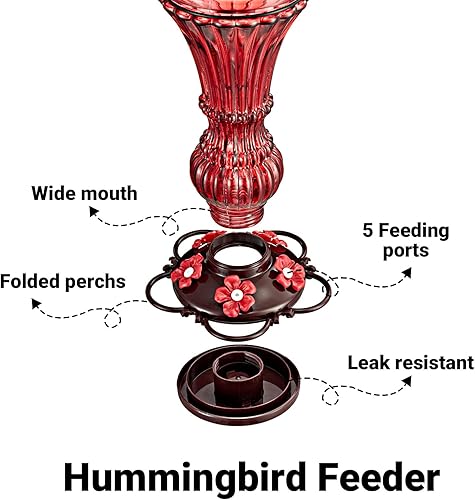 Miniatura 3 de Comederos de cristal para colibríes para colgar al aire libre, comedero de néctar de colibrí rojo con perca, capacidad de 20 onzas con 5 puertos de