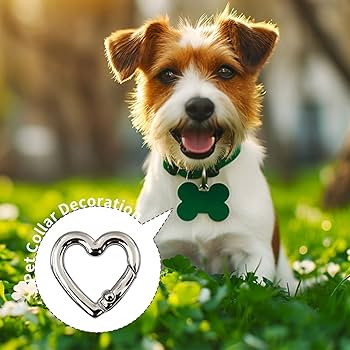 BAMI-LEE House 2 Pcs Titanium Locking Carabiner Titanium Alloy U-Shaped Key Chains Rings Buckles For Indoor Outdoor Use