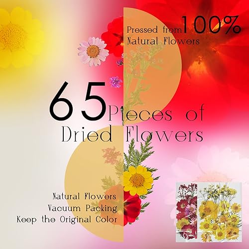 Miniatura 3 de CONVELIFE Flores secas azules, flores secas prensadas naturales y hojas, flores secas para resina con pinzas para álbumes de recortes, manualidades