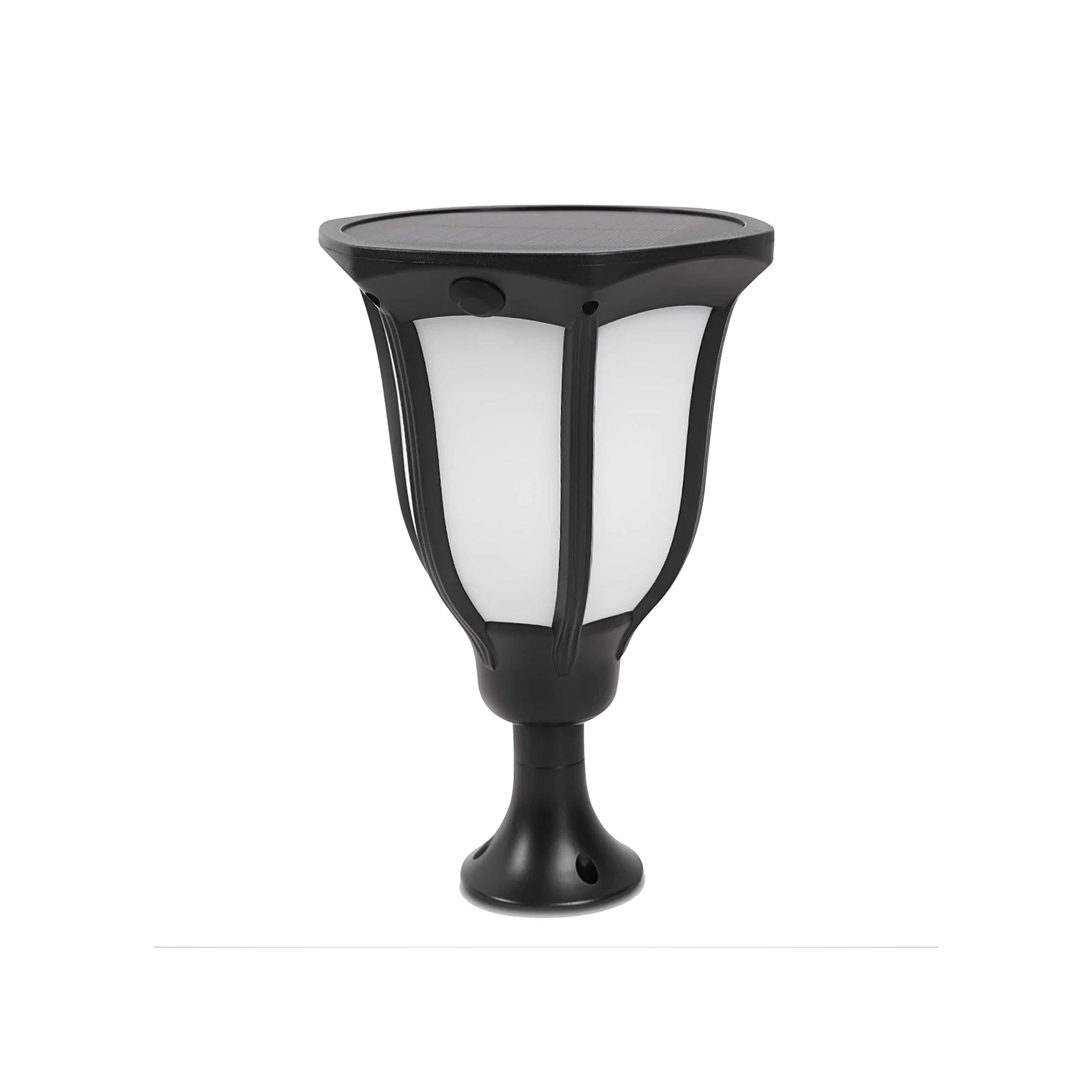 Pride Lighting | Solar LED Light | Garden Light | IP65 Waterproof (RGB Color)-image-6