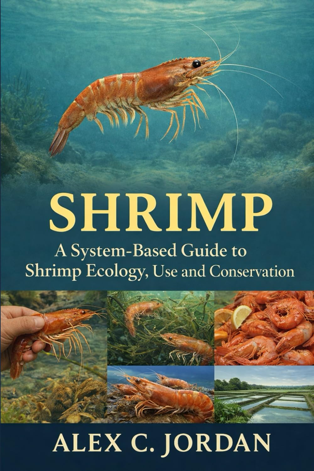 SHRIMPS: A System-Based Guide to Shrimp Ecology, Use and Conservation