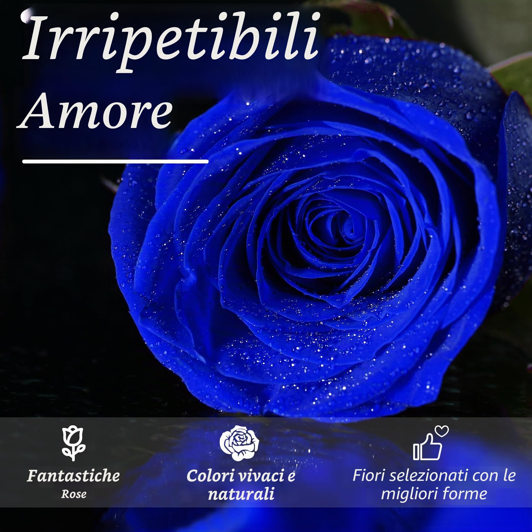 CSYY Infinity Rose, Blu Rosa Stabilizzata Vera con Steli Rosa Eterna Festa della Mamma Regalo per Mamma Fiori Stabilizzata Regalo