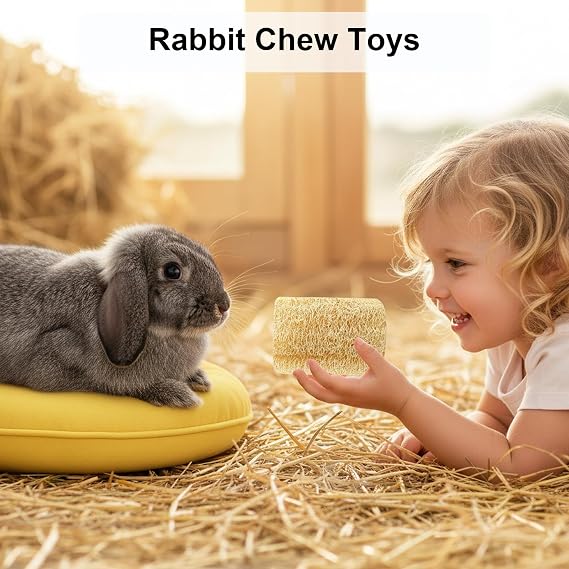 3 PCS Rabbit Chew Toys Natural Loofah Without Additives Bunny Teeth Grinding Toy Pet Entertainment Accessories for Rabbits Chinchillas Guinea Pig Small Anim Handmade Material Fiber-Rich Treats
