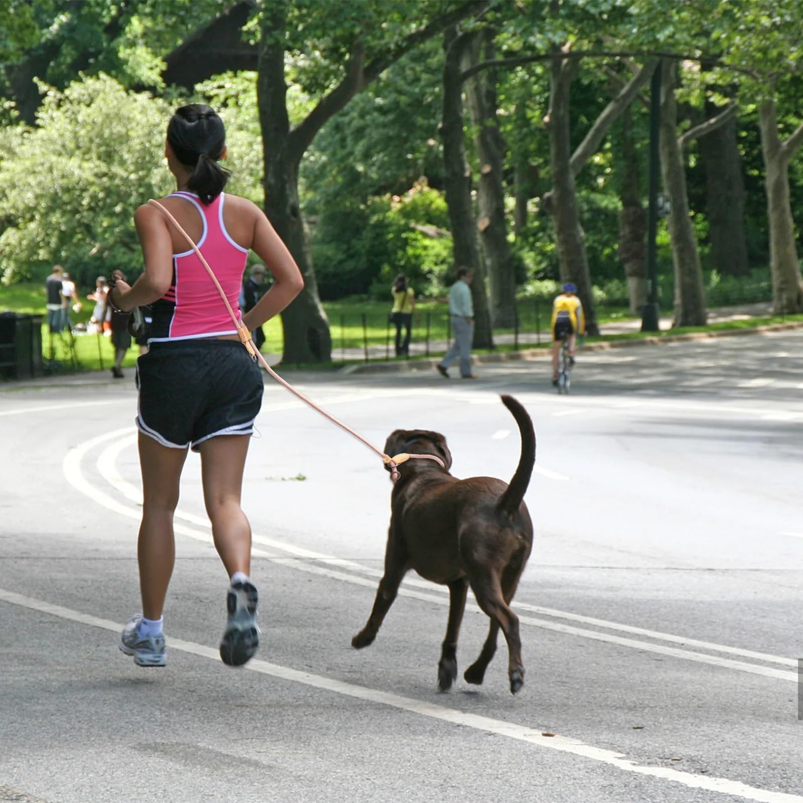 Laisse Main Libre Chien Laisse multifonctionnelle réglable en Forme de P for Chien, avec chaîne de Traction, for la Course et la Marche, Mains Libres(Blue,210CM)