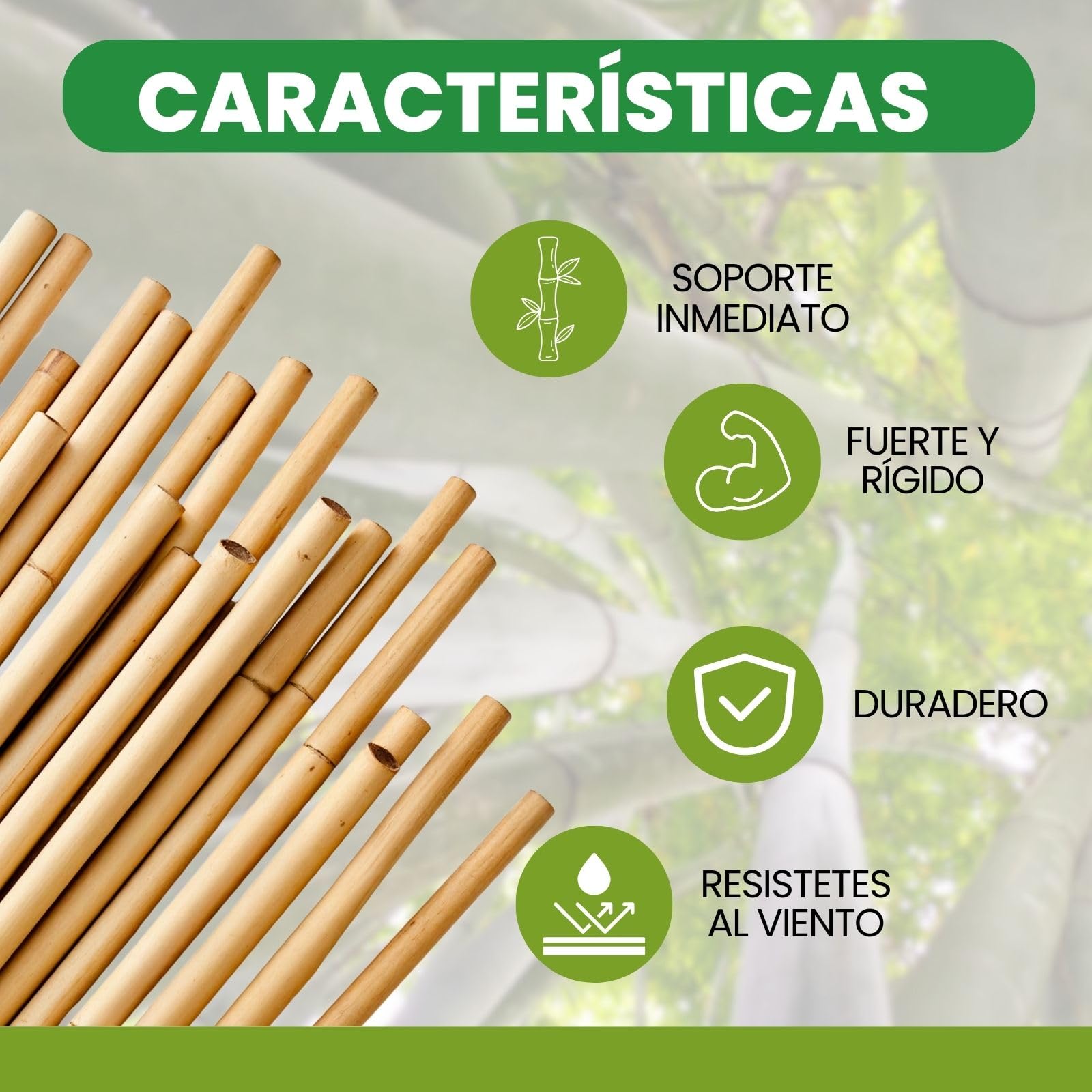 PLANTAWA Tutores de Bambú 90 cm Paquete 25 Unidades Ø 10-12 mm | Soporte para Plantas, Hortalizas, Tomates y Tomateras | Tutores para Plantas de Instalación Fácil. Cañas de bambú Resistentes