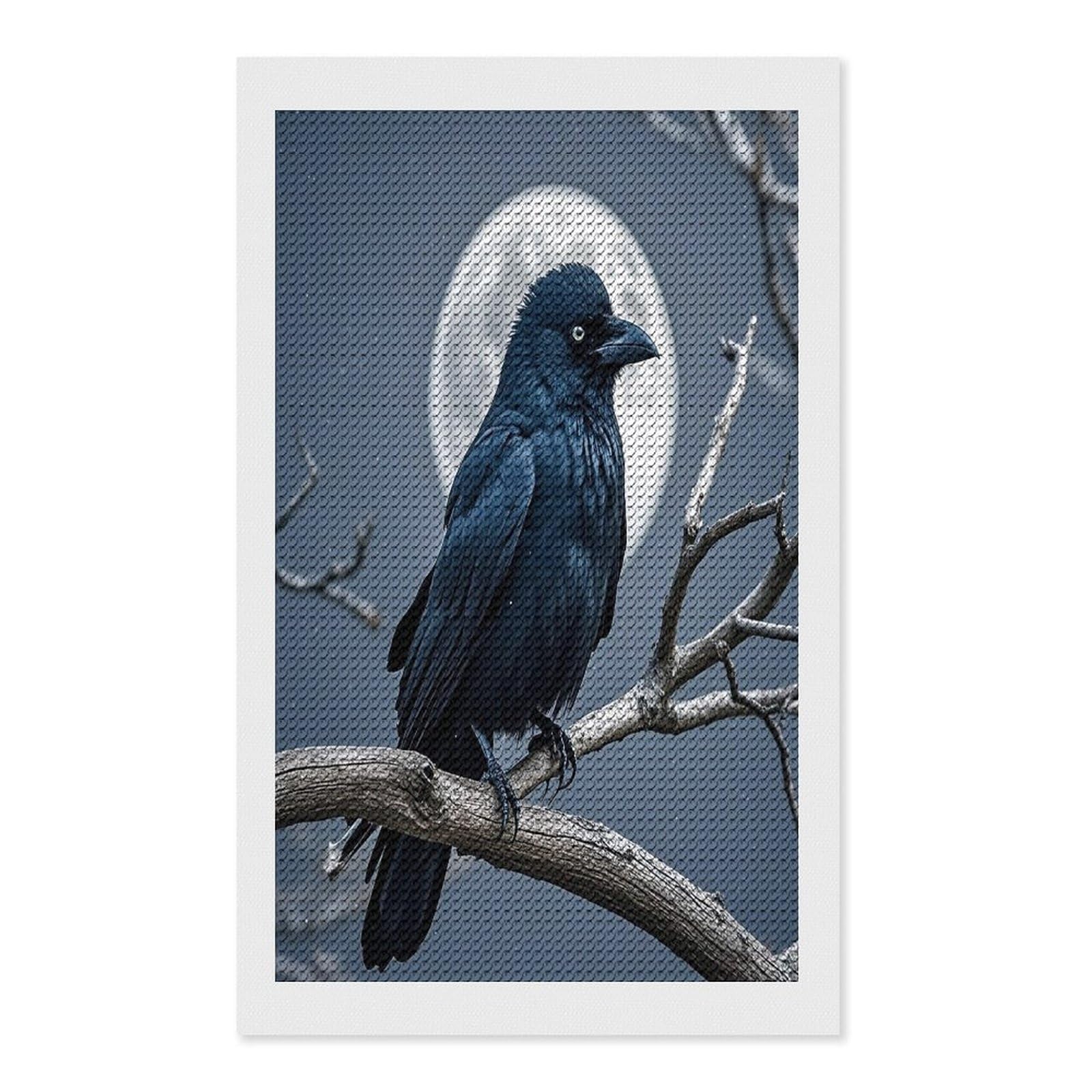 FekiLoot Night Crow Diamond Painting Kits for Adults Full Round Drill Diamond Art Kits for Beginners 5D DIY Diamond Dots Paintings Diamonds Pictures Gem Art Home Wall Decor 12"x20"