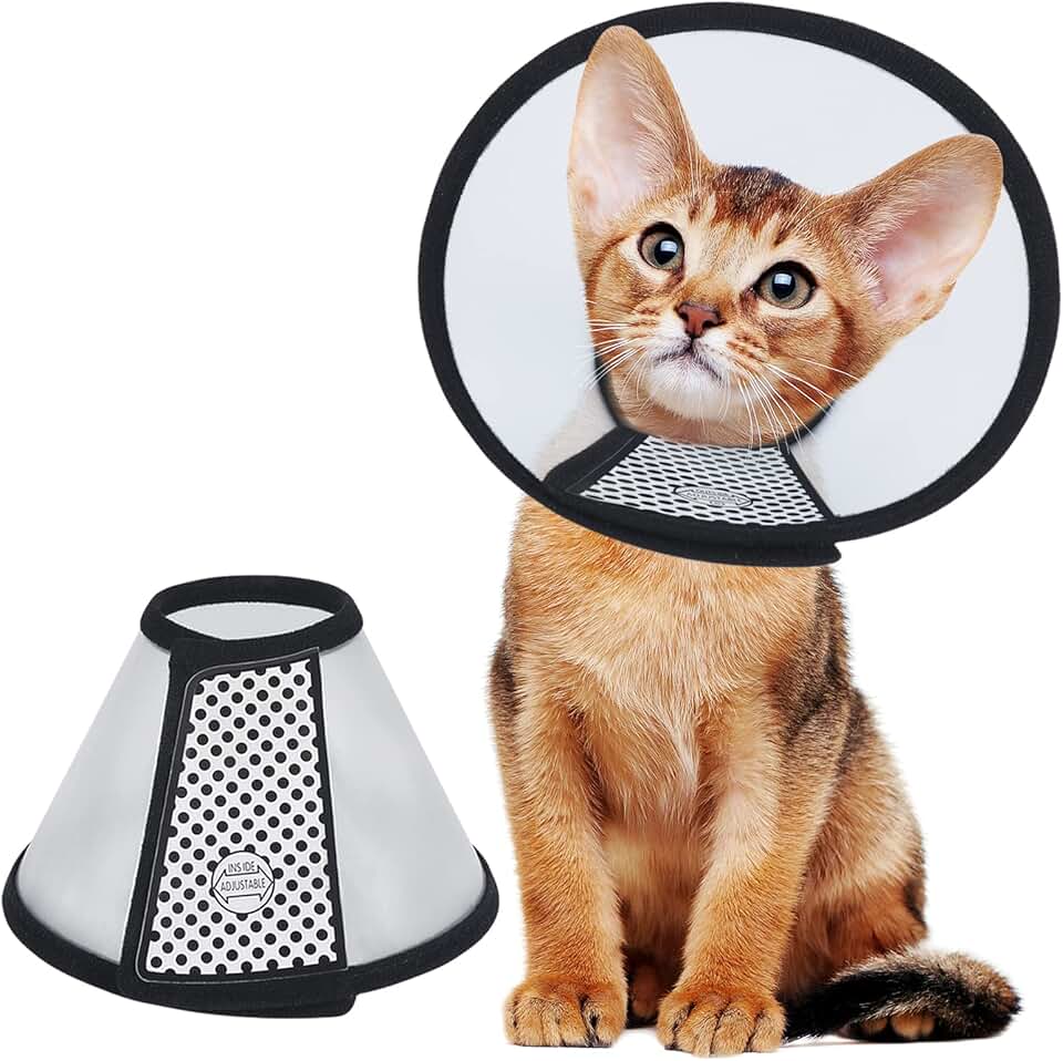 Amazon.co.uk Cat Recovery Collars & Cones Cat Recovery Collars & Cones / Health Supplies fo