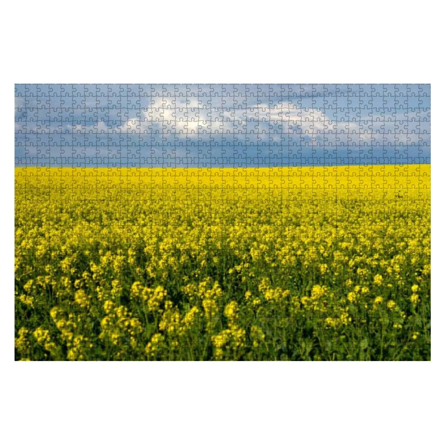 Yellow fields bloom a sunny day 1000 Pieces Wooden Jigsaw Puzzles for Adults Decompression DIY Children Educational Puzzles Creative Games Toys Gift Home Decor