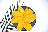 Vista 6 de Mango seco natural, sin productos químicos añadidossin dióxido de azufre, calidad premium, sabroso aperitivo. 100% natural - 8 oz (226 g)