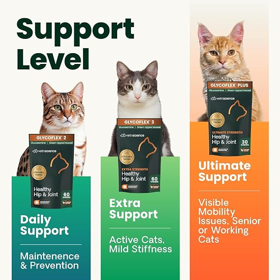 VetriScience Healthy Hip & Joint Chews, GlycoFlex Glucosamine and Green-Lipped Mussel Joint Support Supplement for Cats, Promote Mobility and Protect Joints, Chicken, 60 Count