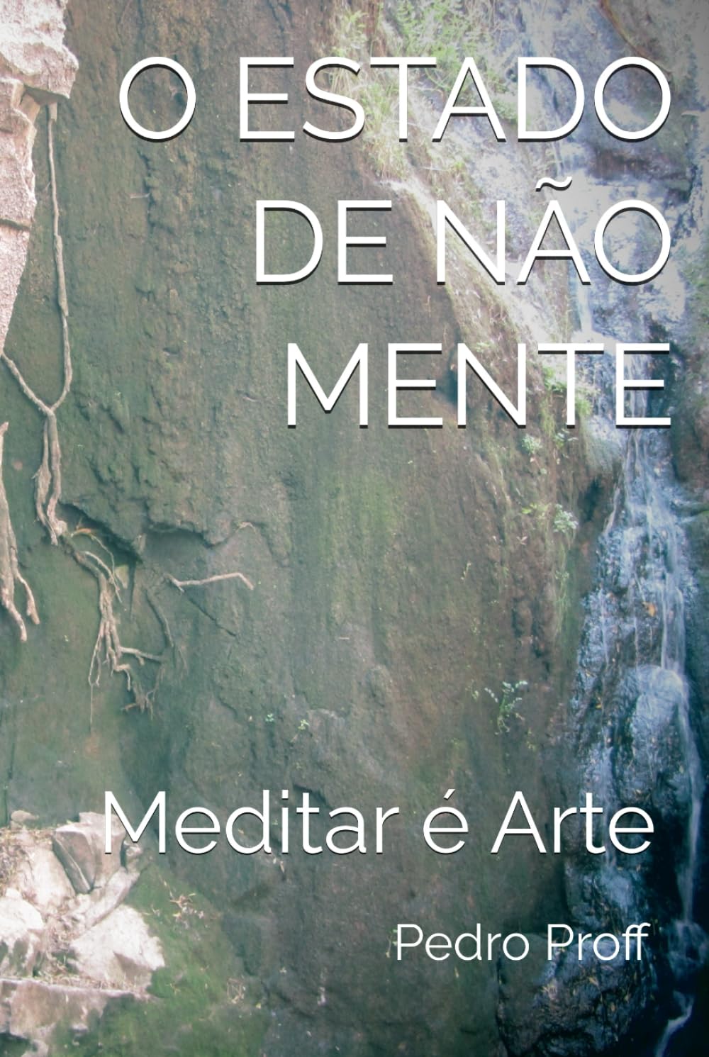 O ESTADO DE NÃO MENTE: Meditar é Arte