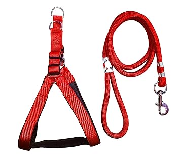RvPaws Durable Nylon Padded Adjustable 1.25inch Dog Chest Harness & 12mm Leash Rope for Large Dogs (Red)