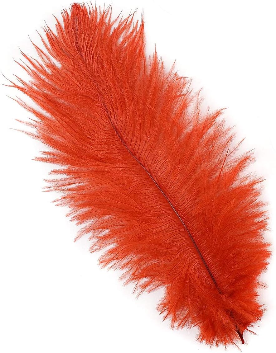 ZUCKER 12pc Ostrich Feather Craft Supplies - 4-8 inch (10-20 cm) Natural Colorful DIY Wedding Home Decor - Red, OP9-R
