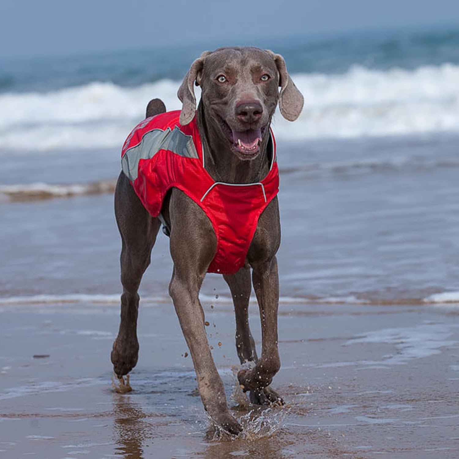 Dog Cooling Vest Harness Evaporation Cooler Coat Dog Cooling Jacket for Summer Outdoor Hiking Walking and Camping Lightweight for Small Medium Large Dogs Reflective,Green,M(Bust:56