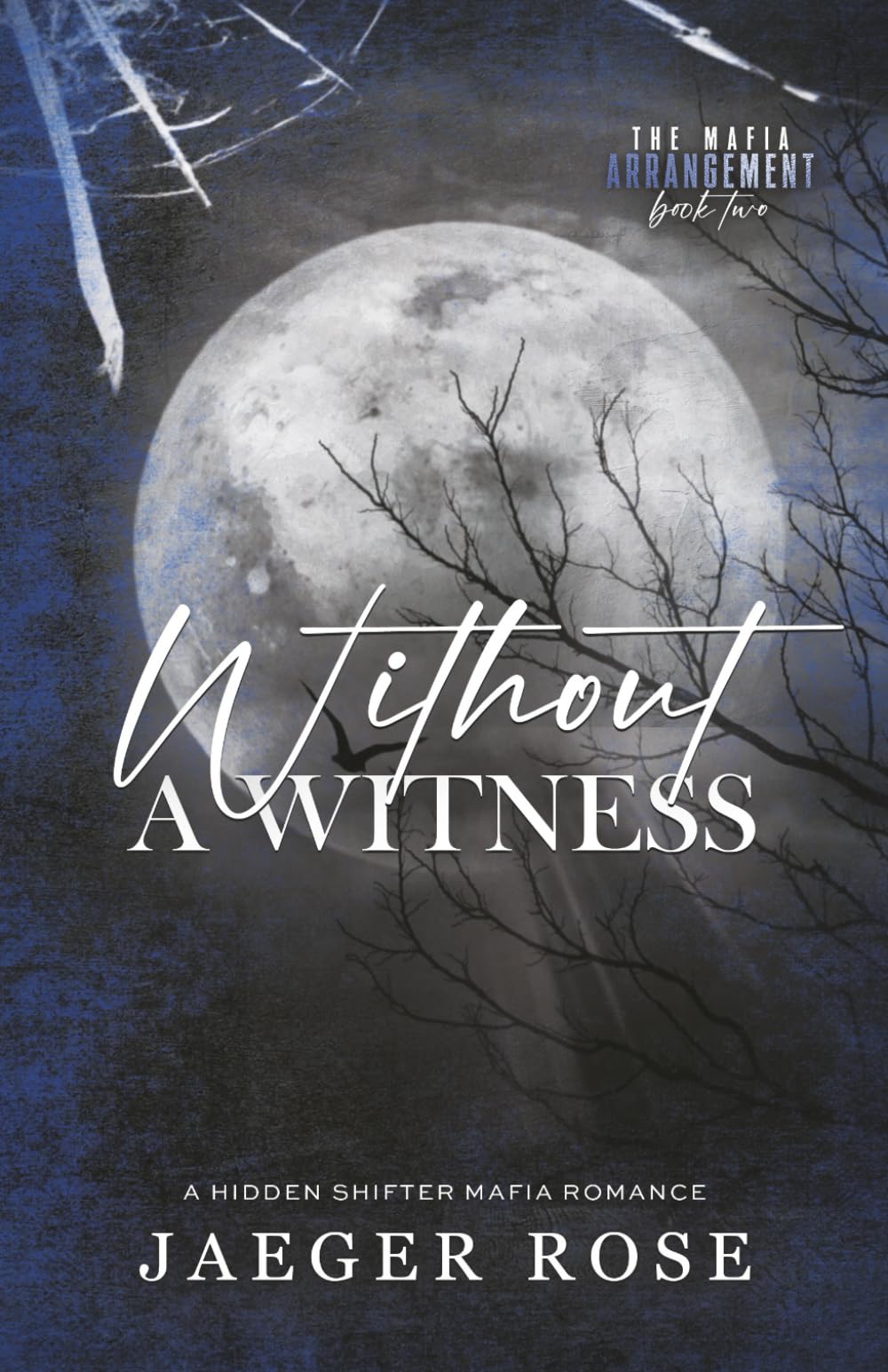 Without a Witness: A Hidden Wolf Shifter Romance: 2 (The Mafia Arrangement - Discreet Covers)