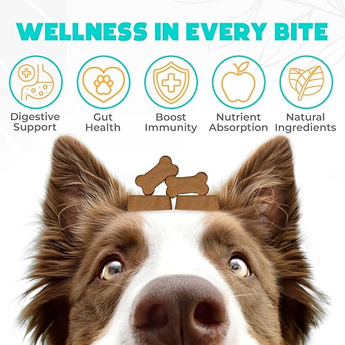 Miniatura 2 de Probióticos masticables para perros, 150 unidades  Apoyo digestivo, salud intestinal y diarrea  Masticables probióticos para perros  Fórmula