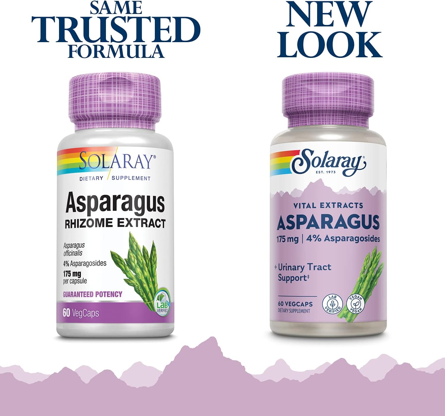 SOLARAY Asparagus 175 mg Supplement with Whole Root - Asparagus Extract Capsules for Men & Women, Urinary Tract & Digestive Health Support, Vegan Formula - 60 Veg Caps - Image 2