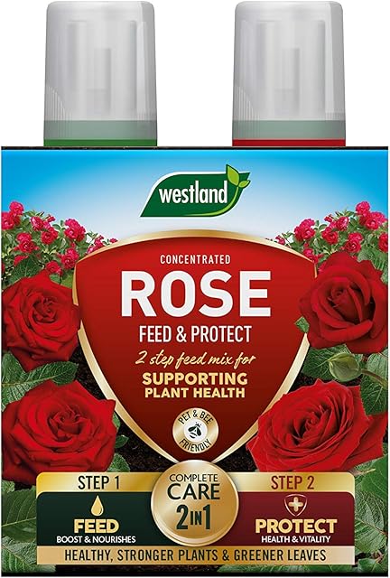 Westland 20100417 Rose Feed & Protect Concentrates 2 in 1 (2 x 500 ml), Green