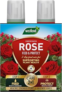 Westland 20100417 Rose Feed & Protect Concentrates 2 in 1 (2 x 500 ml), Green