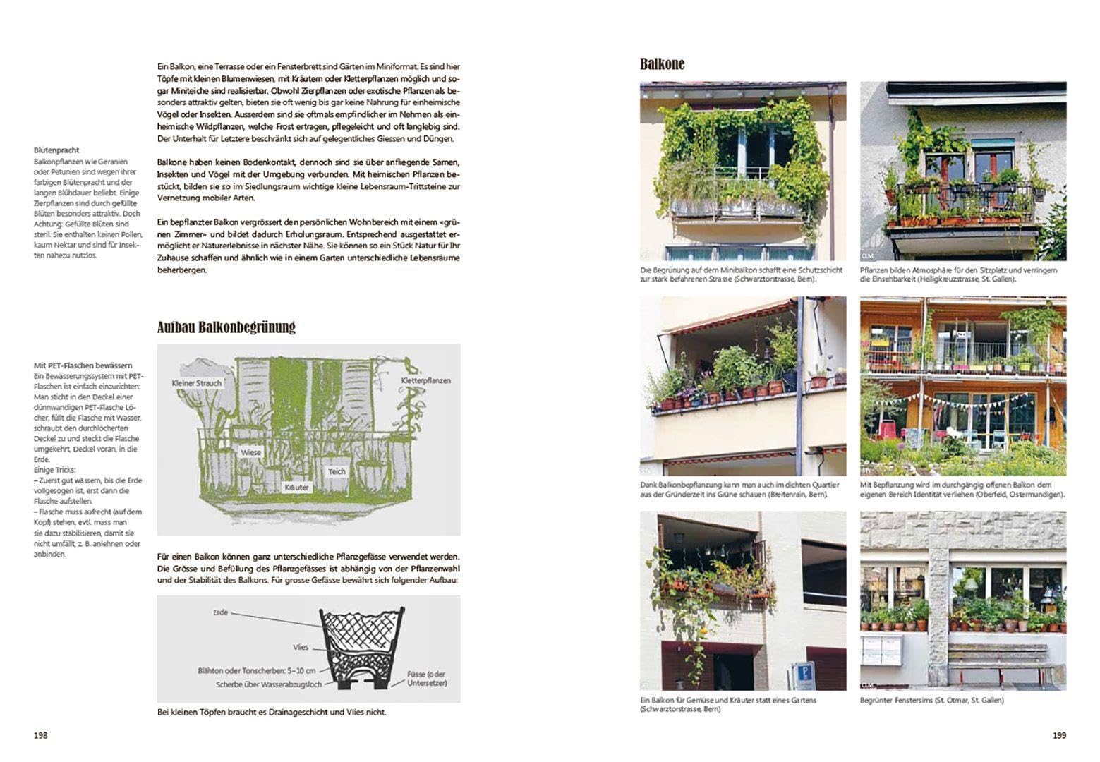 Praxishandbuch Stadtnatur: Biodiversität fördern im Schweizer Siedlungsraum