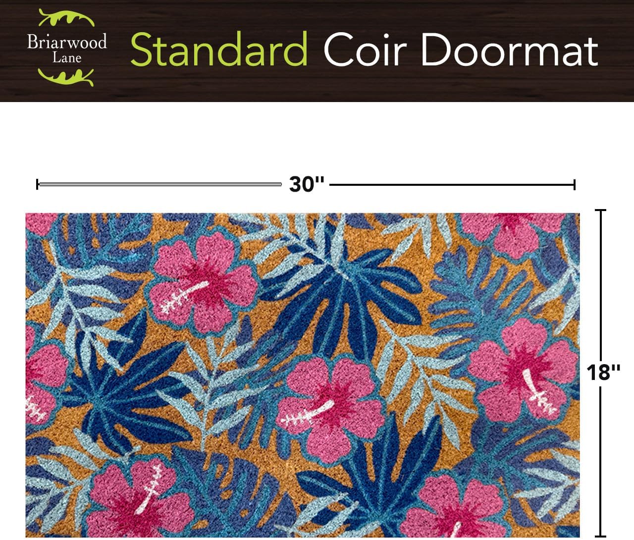 Briarwood Lane Pink and Blue Tropical Coir Doormat 18 x 30