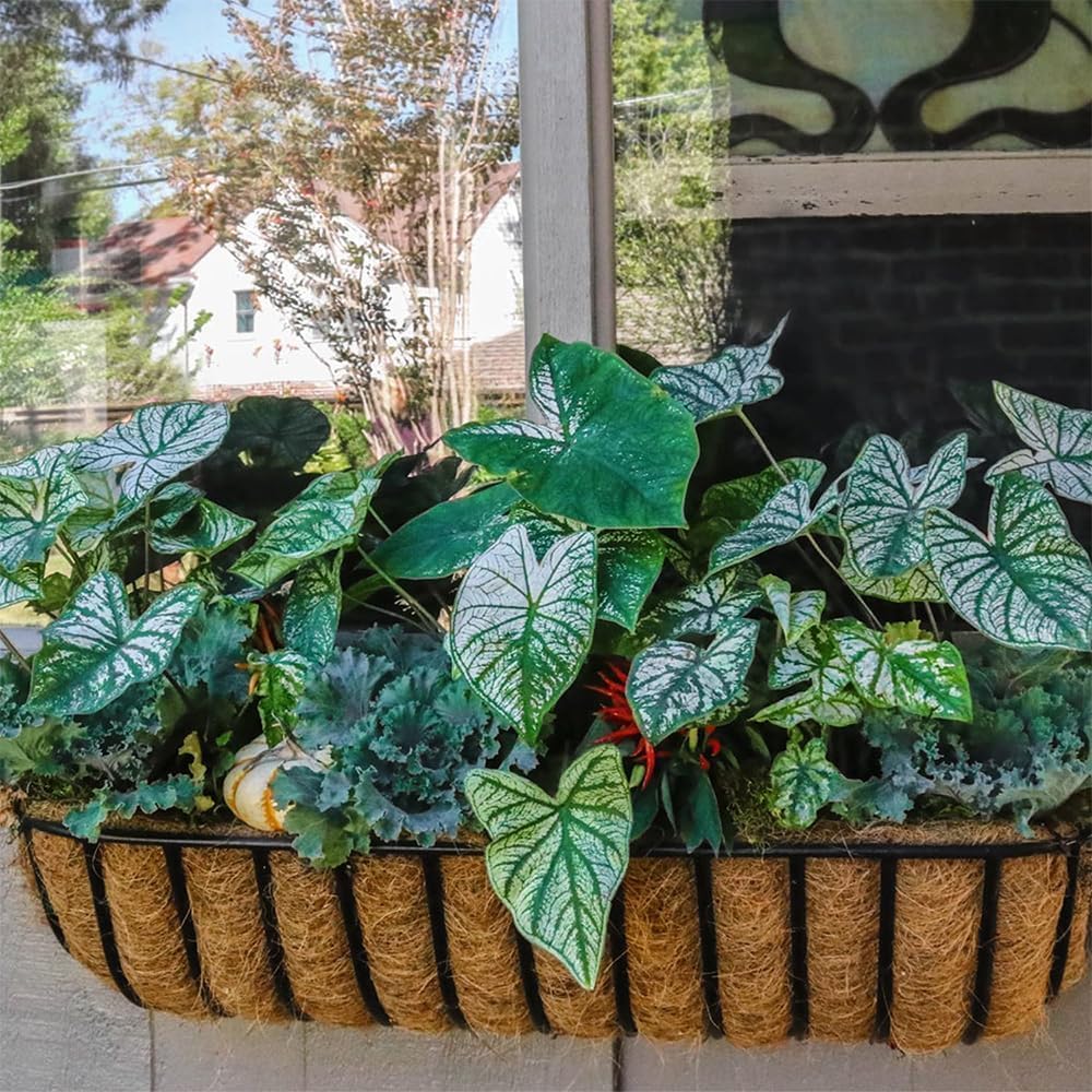 3Pcs 30” Coco Liners for Planters, Pre-Formed Trough Coconut Fiber Liner Replacement for Window Box, Fence Flower Baskets, Garden Flower Pot (30 inch 3PCS)