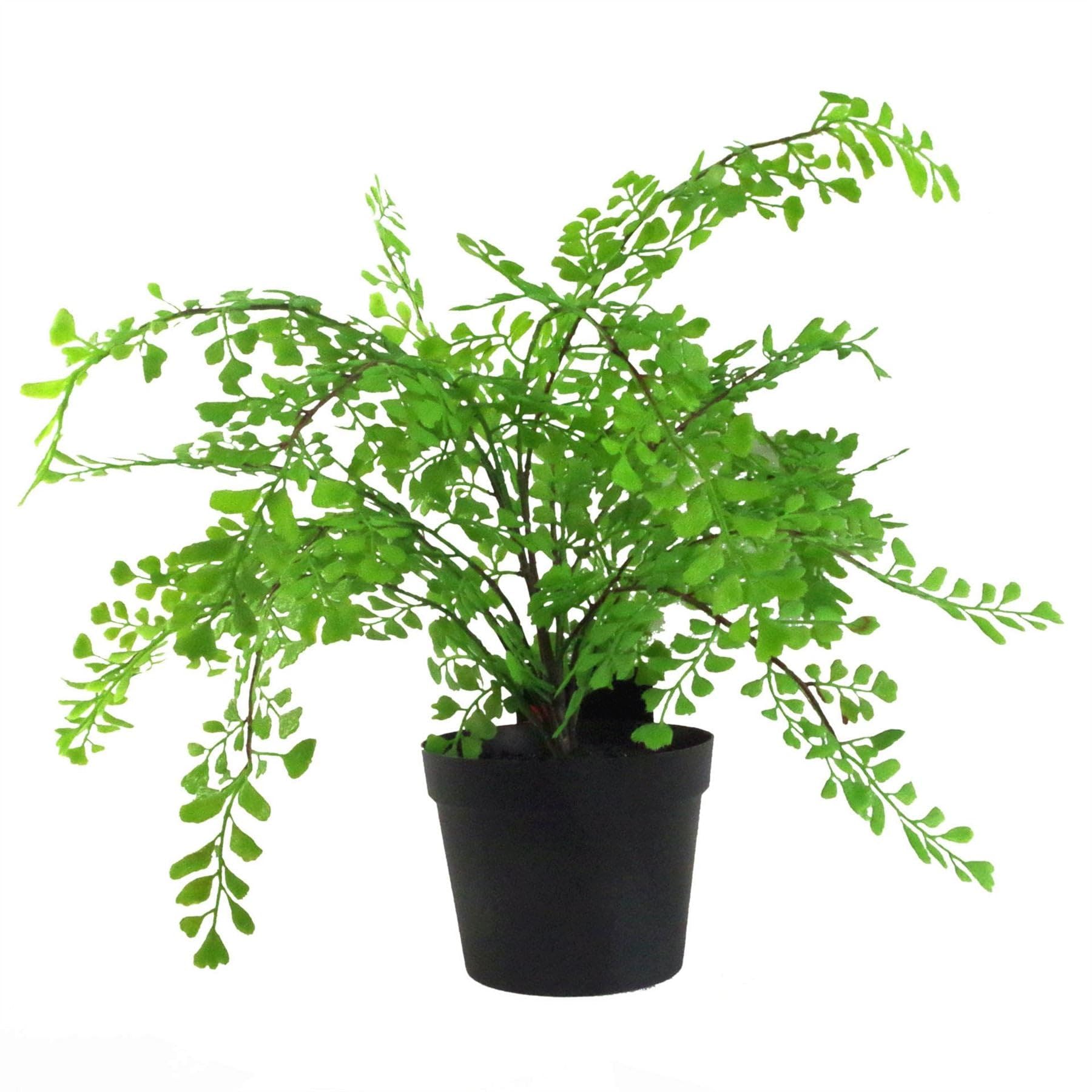 Leaf Southern Maidenhair Artificial Plant 1.14ft
