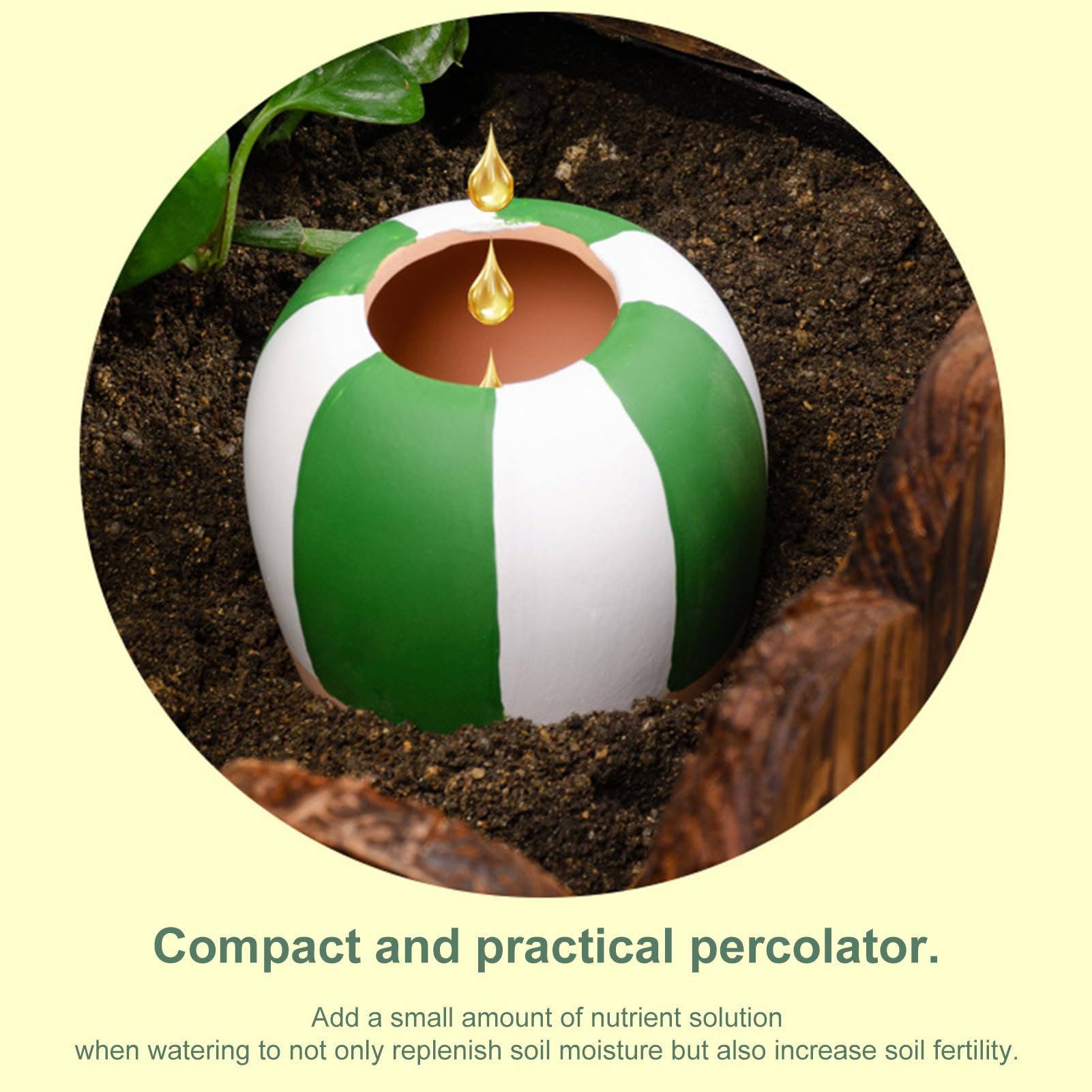 Punte di Irrigazione Dispositivi di Irrigazione da 4 Pezzi | Globi in Terracotta per Innaffiare Piante Adatti a Verde Orchidea Casa Ufficio Balcone Terrazza Patio