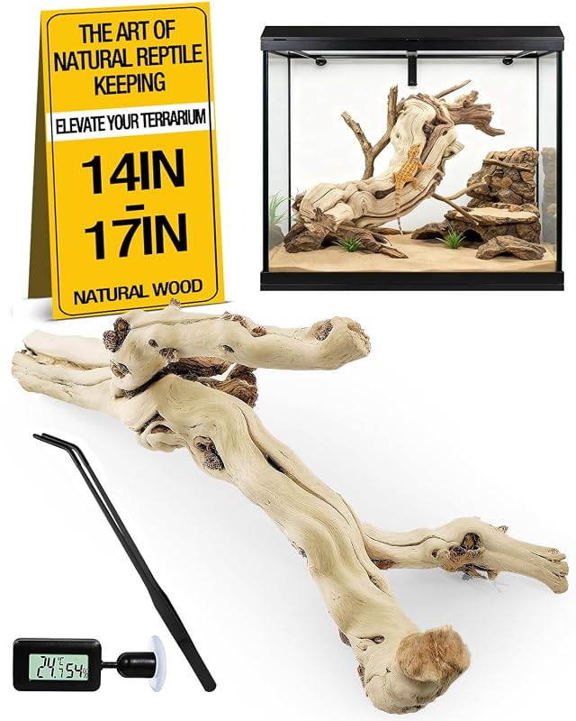 Madeira para Terrário UESAN, Galhos Naturais de Videira para Escalada PCJ563, 33,02–40,64 cm, 3 unidades