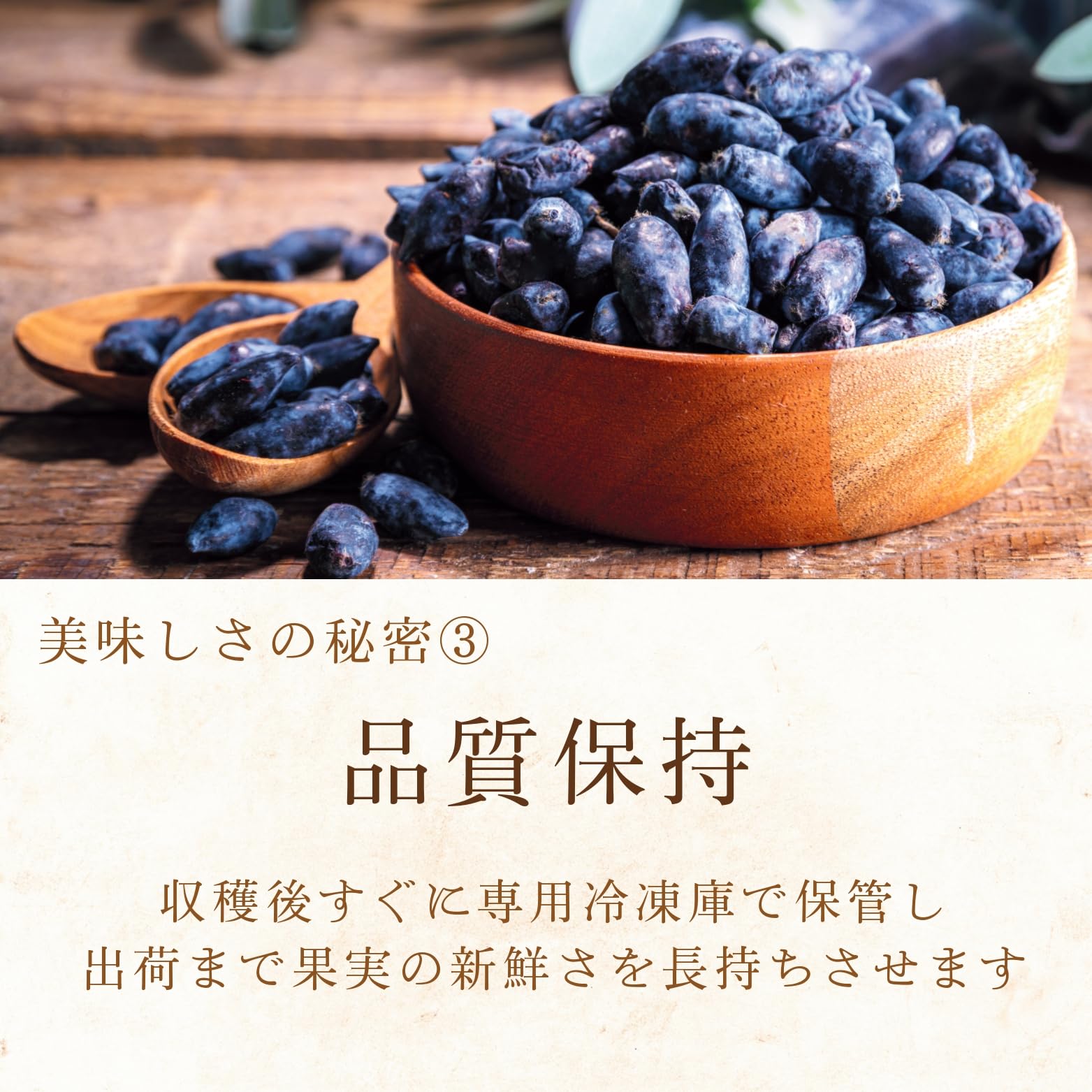 Amazon | 山本農園 【 冷凍 ハスカップ 1kg 】北海道 美唄産 2026年度
