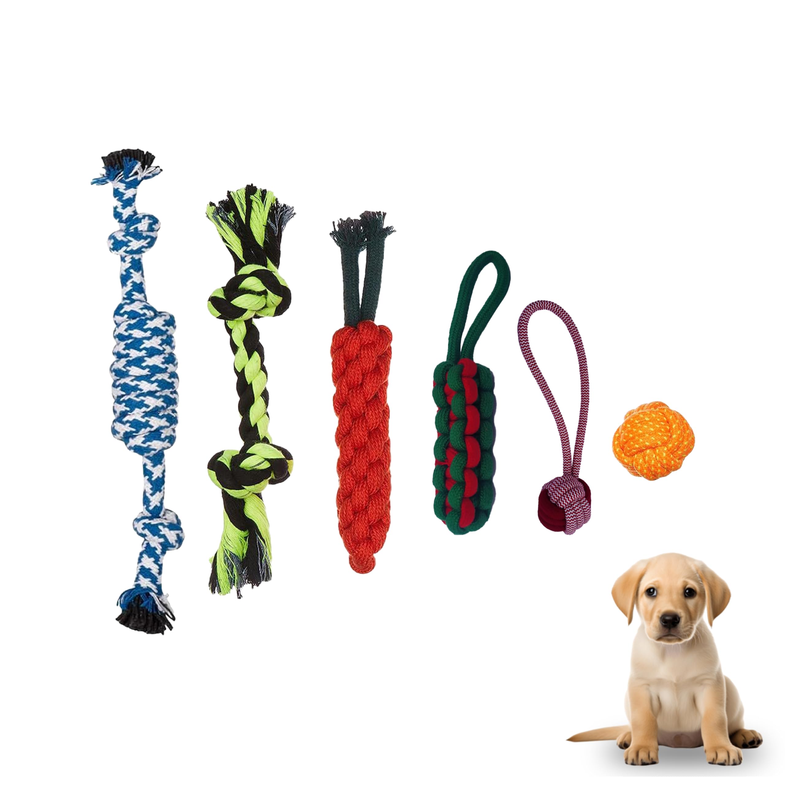 Combo of 6 Pet Dog Chew Toys for Puppy Playing Teething Tug Toy Pet Accessories (B0DCBCSVM5) Amazon Price History, Amazon Price Tracker