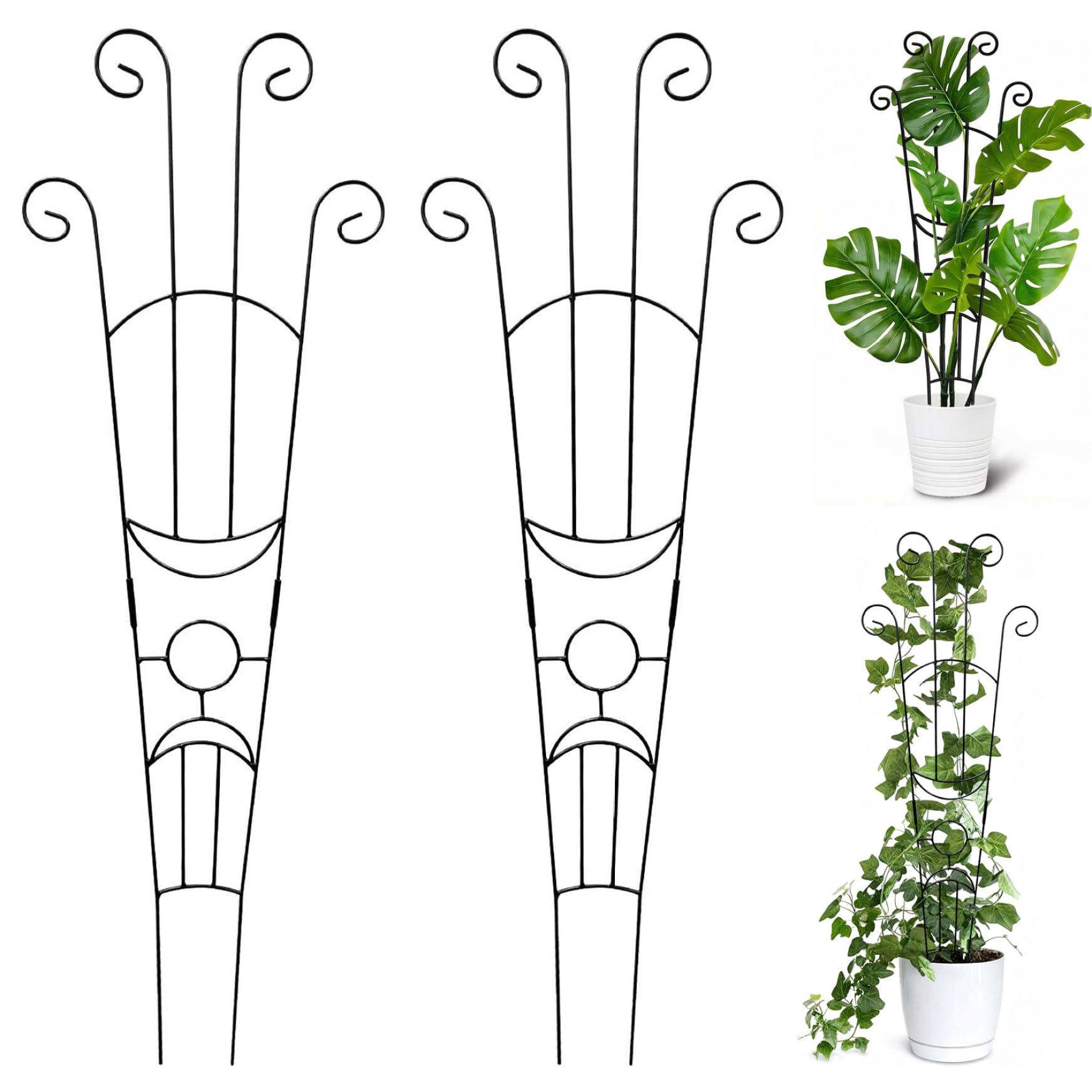 Treillis pour plantes grimpantes tuteur intérieur Monstera Pothos et Lierre en pot