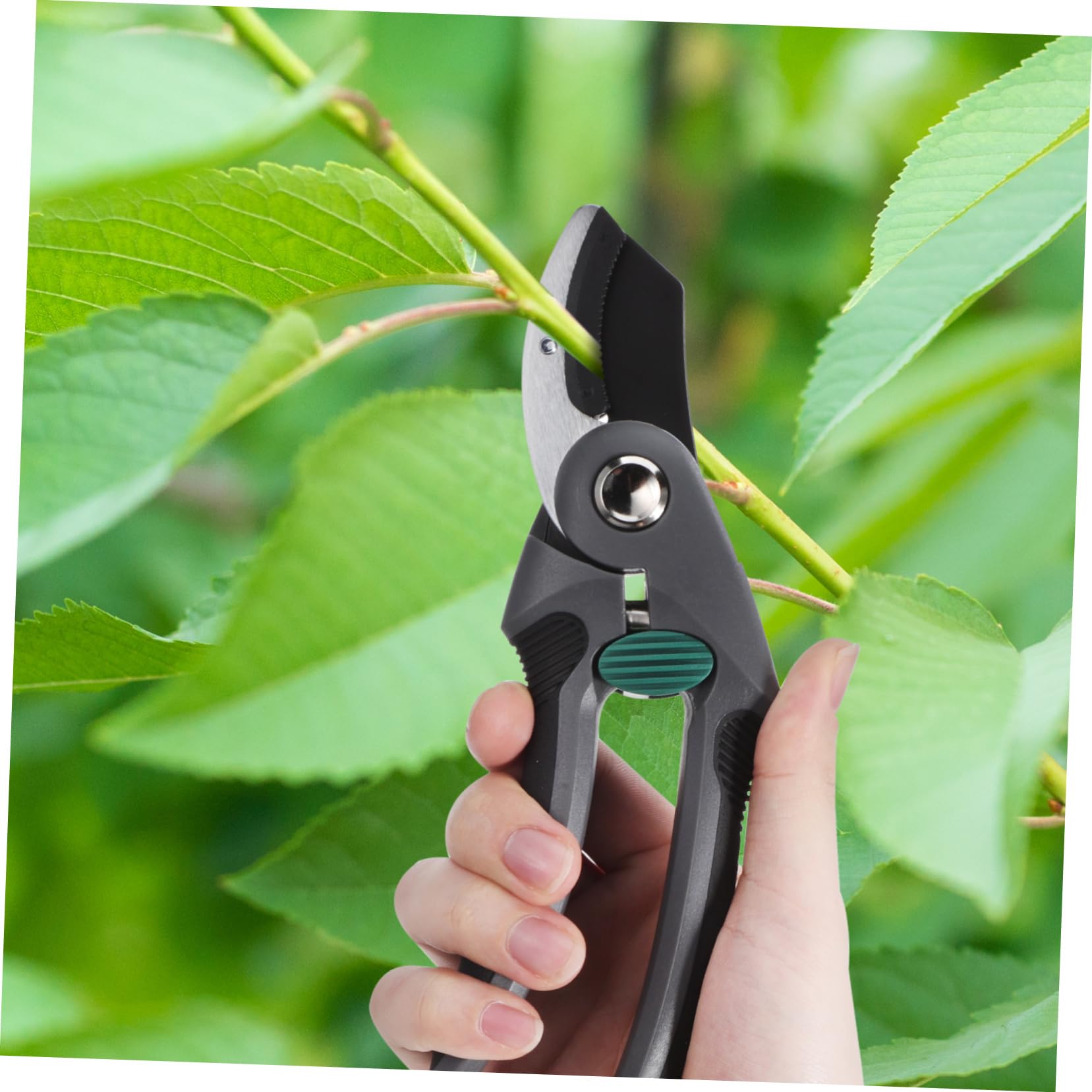 Happyyami Forbici per Potare Molla Forbici da Giardino Bypass Acciaio al Carbonio Strumento per Manutenzione del Giardino