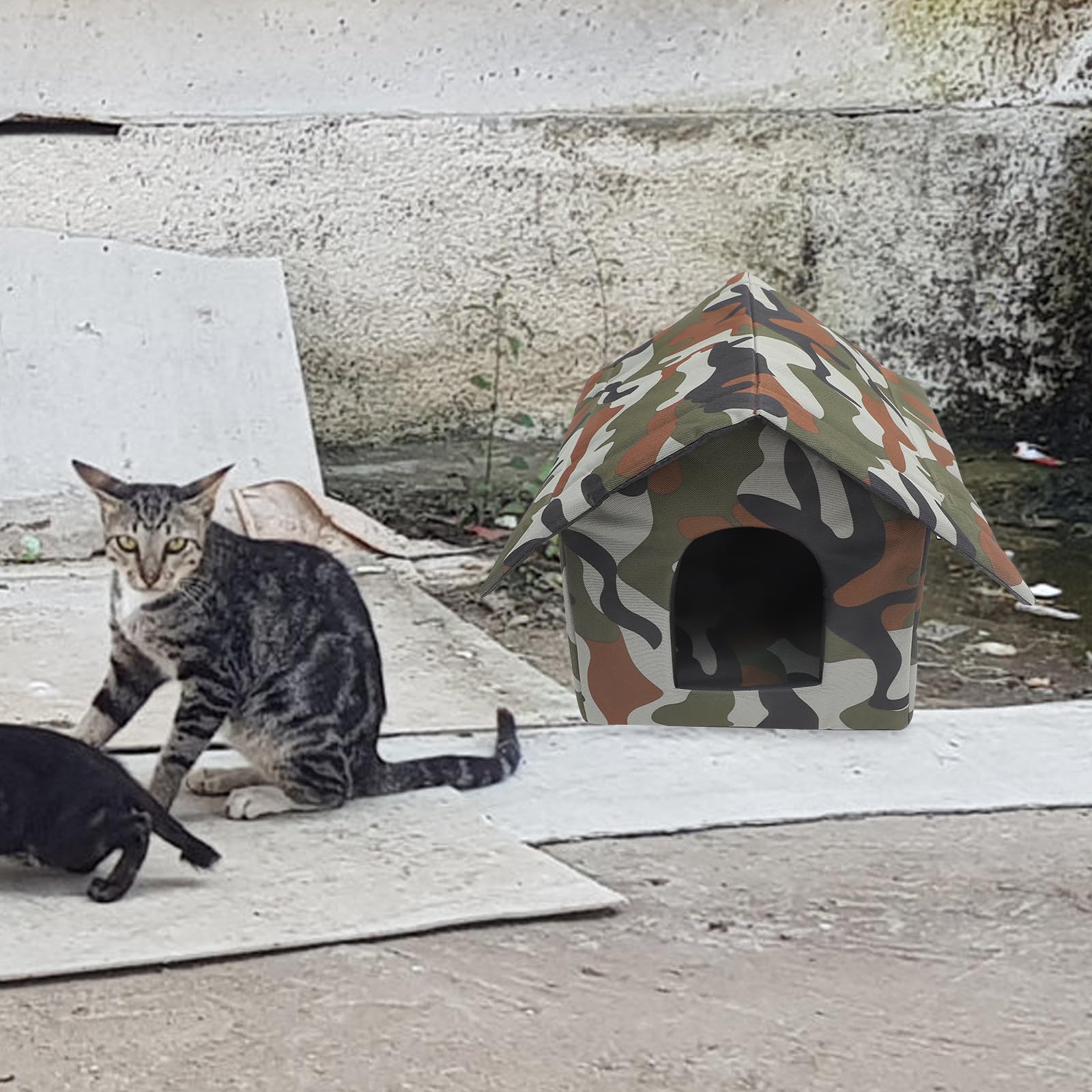 Casetta Gatti da Esterno Isolata, Rifugio per Inverno | Riparo per Esterni, Struttura a Forma di Casa, Stile Semplice, Adatta a Gatto e Pet
