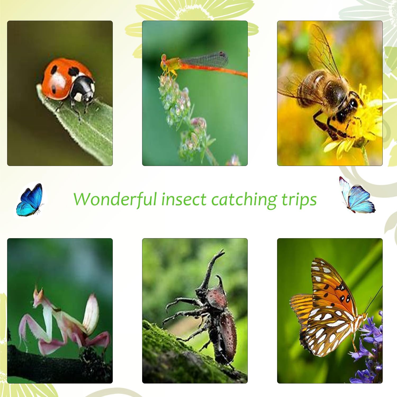 Gabbia Pieghevole Per Farfalle - Rete Cattura Insetti Arancione - Portatile Per Bambini E Attività Outdoor - Foto 5