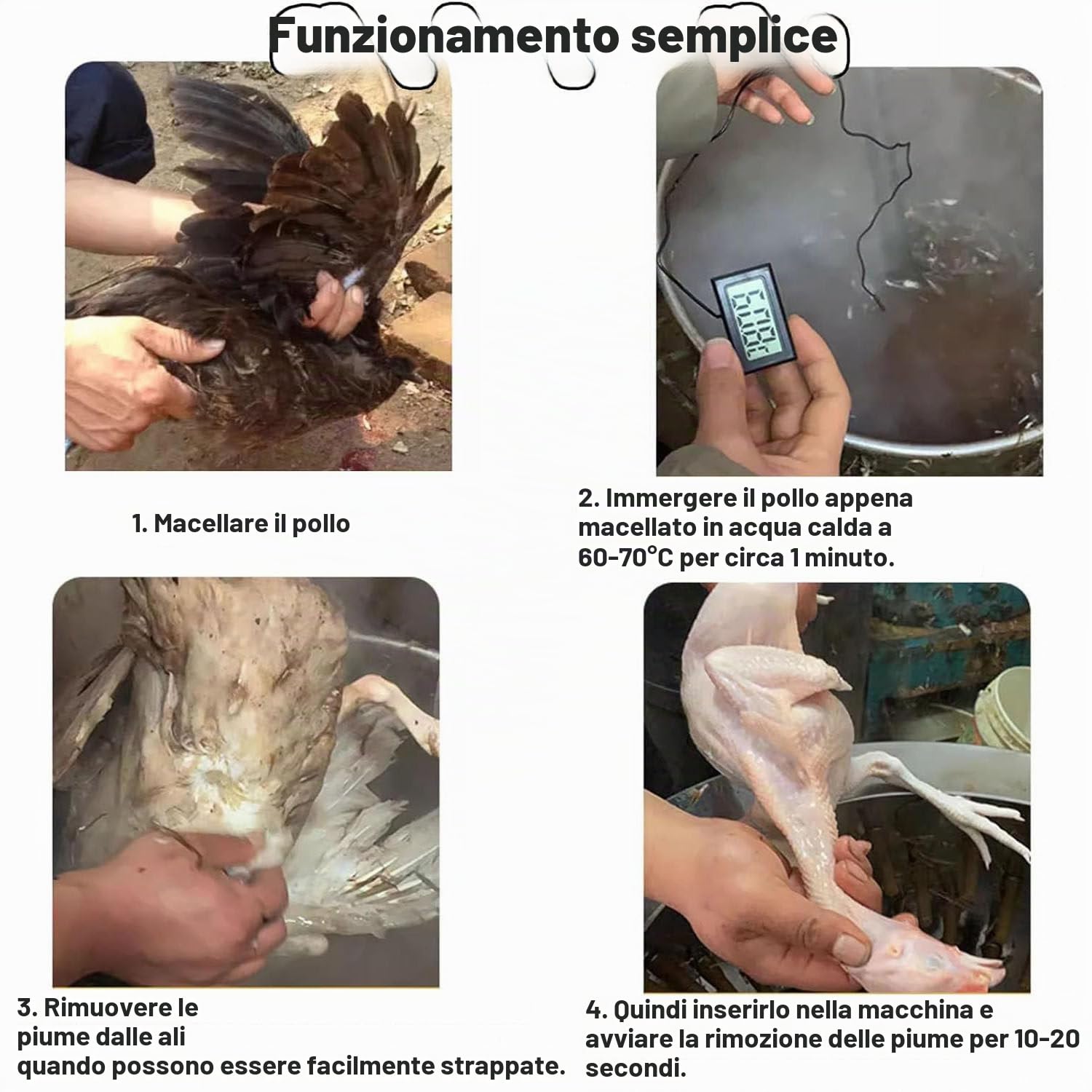 Spiumatrici per polli,Spennatrici per polli in Acciaio Inossidabile,Spennatrici per Piccoli Uccelli,Spumatrici Automatiche per polli,per Uccelli di quaglia