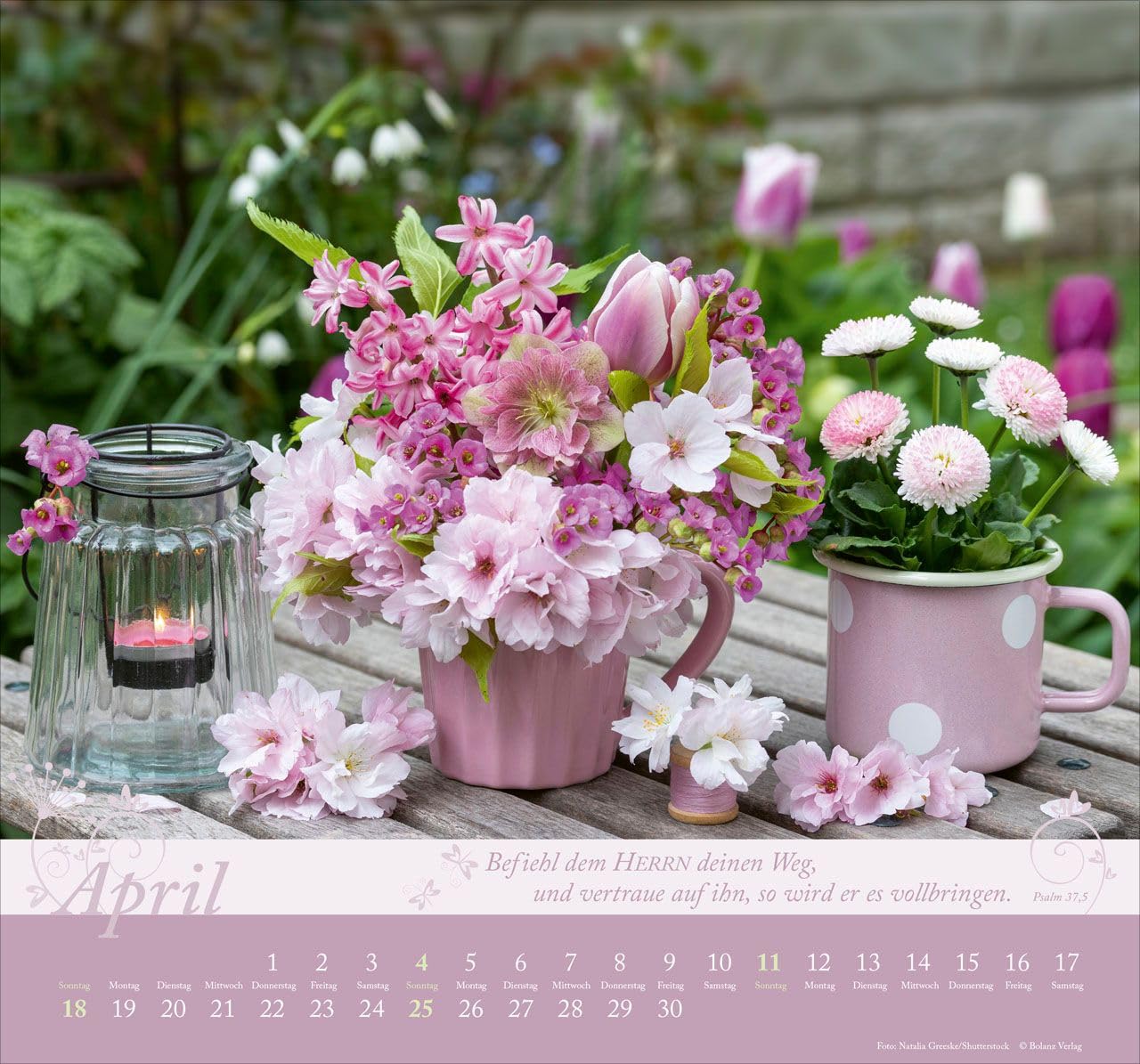 Im Garten zuhause 2027 – Wandkalender
