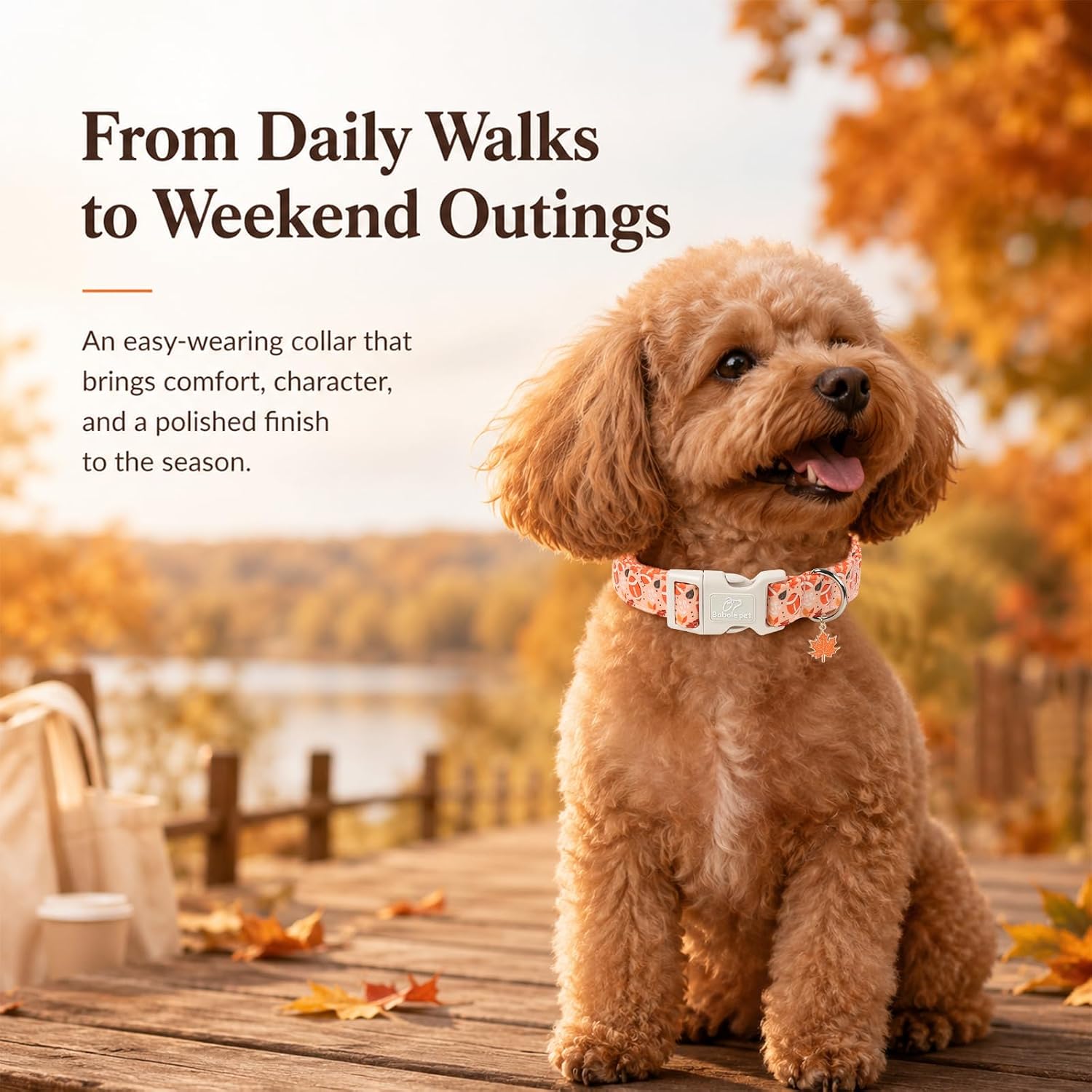 Fall Football Dog Collar, Comfortable Adjustable Cotton Dog Collar - Cute Orange Autumn Football Pet Collars for Small Medium Large Boy Girl Dogs S image 3