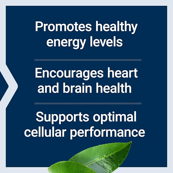 Life Extension L-Carnitine 500 mg, Energy Supplement, Memory Supplement Free Form Amino Acid, Nitric Oxide Support, Healthy Blood Pressure Gluten-Free, Non-GMO, Vegetarian 30 Capsules