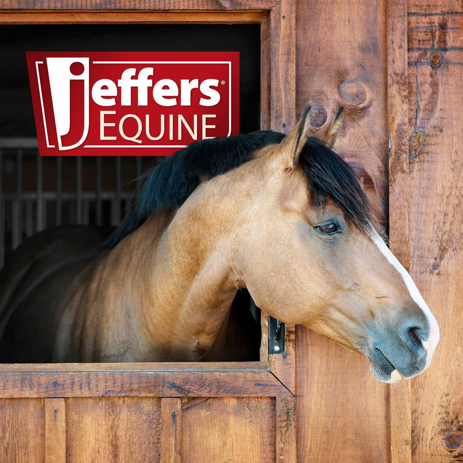 Jeffers Equine Geflochtenes Maultierband-Halfter mit 3 m abnehmbarem Führstrick-Set für Pferde, 14 bis 18 Hände – stilvolles Design mit verstellbarem Umfragegurt, einfach zu bedienende