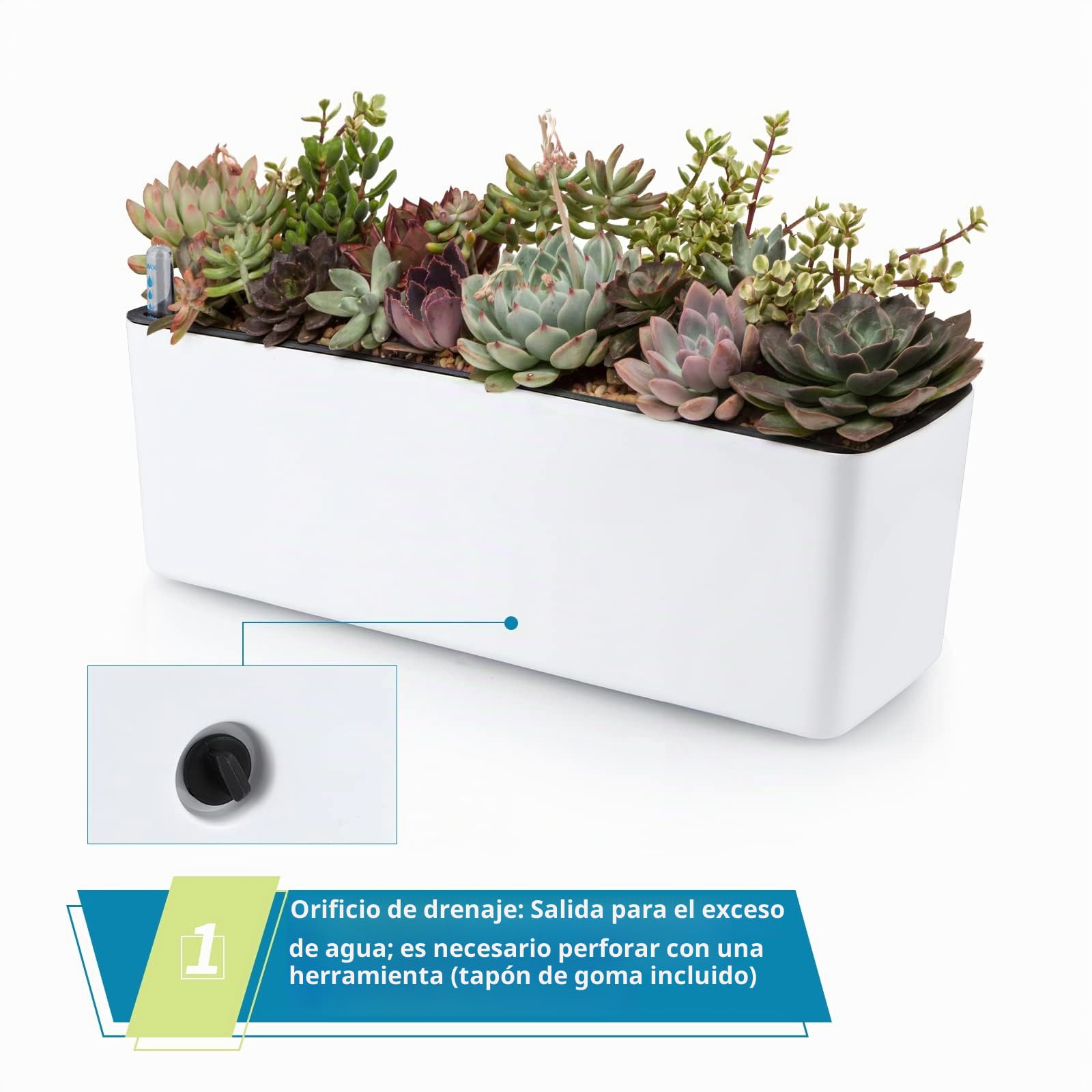 Skelang 2 Pcs Macetas de autorriego, Maceta Rectangular con indicador de Nivel de Agua, Jardinera para Plantas de Interior, suculentas, brotes, Pimienta