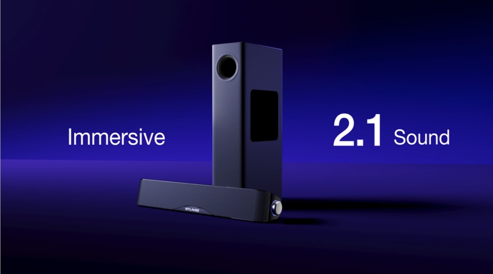 Amazon.com: Nylavee Computer Speakers with Subwoofer, 2.1 PC