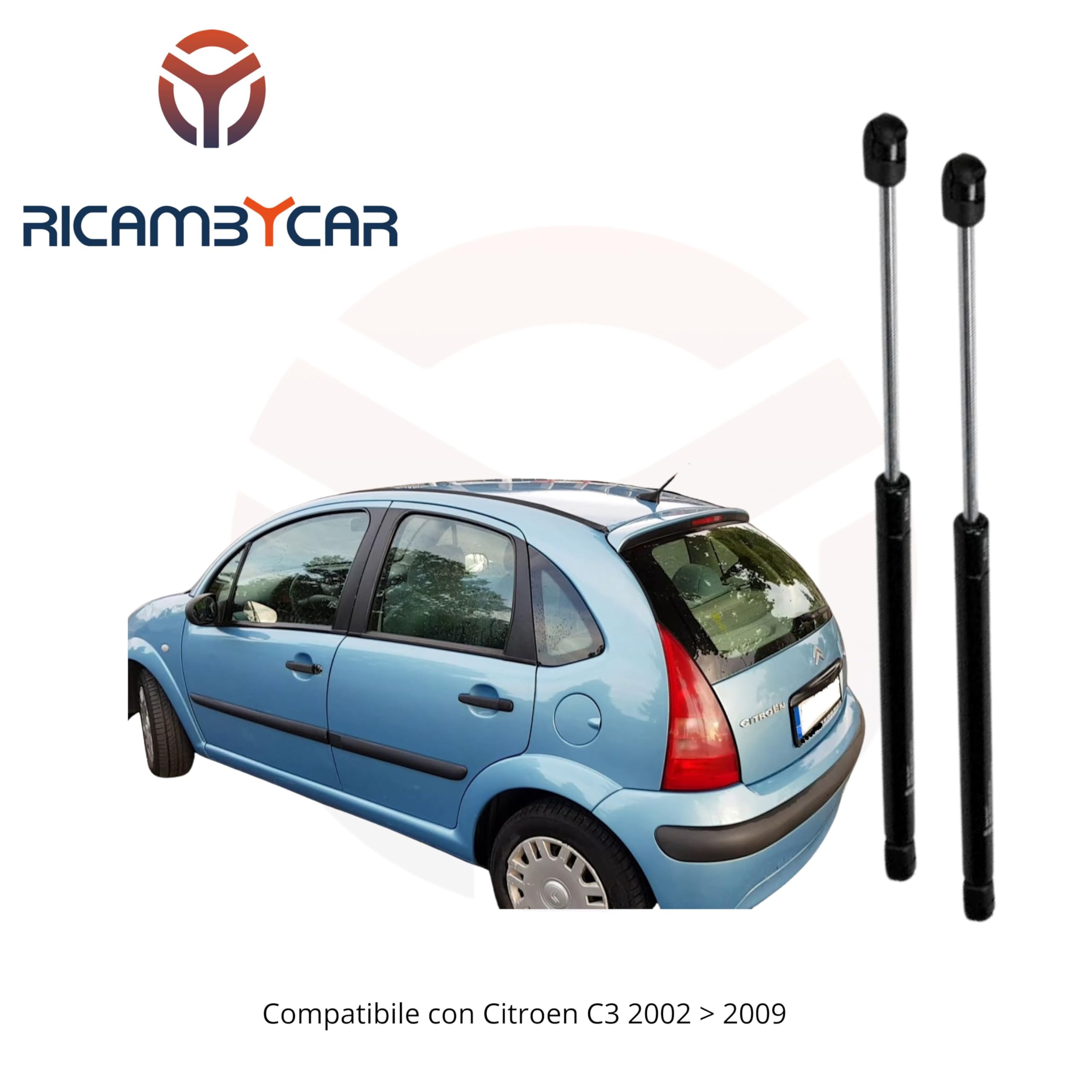 Coppia Molle a Gas Portellone Posteriore Compatibile con Citroen C3 2002-2009