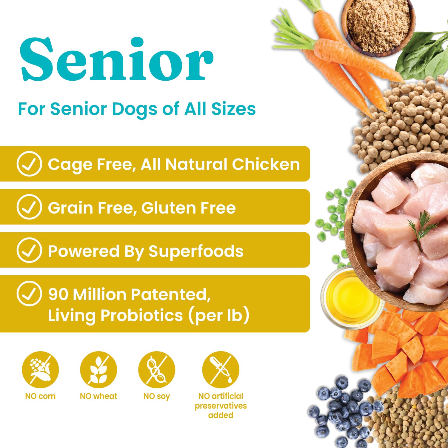 A Good Food For Senior Dog