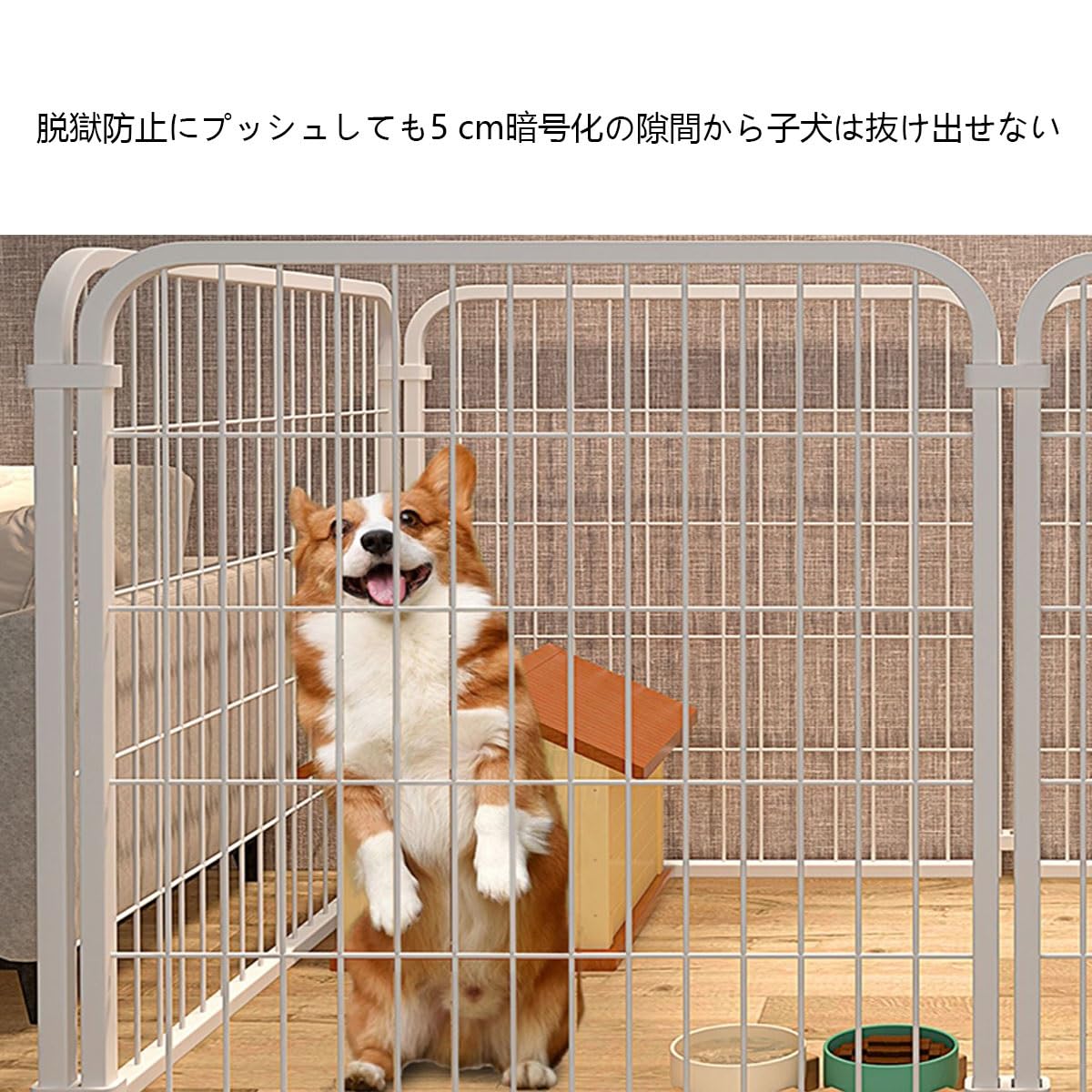 Amazon.co.jp: ペットサークル 猫用・犬用 パネル ドア付き小動物