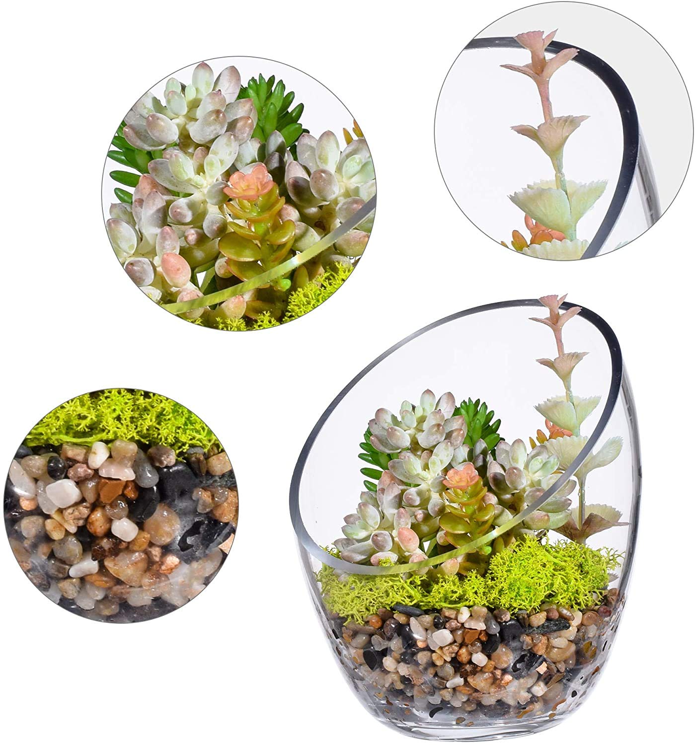 Zestaw do akwarium Przezroczysta, ukośna miska z bąbelkami, miska dla ryb i terrarium z roślinami, okrągła doniczka (7" x 5,5")