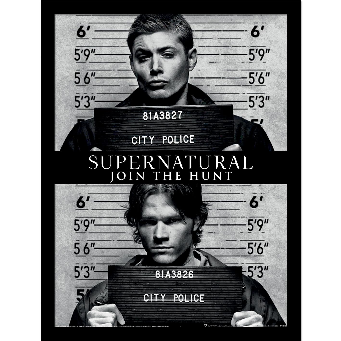 Poster Supernatural City Police - Décoration murale geek pour salon et chambre ado 30x40