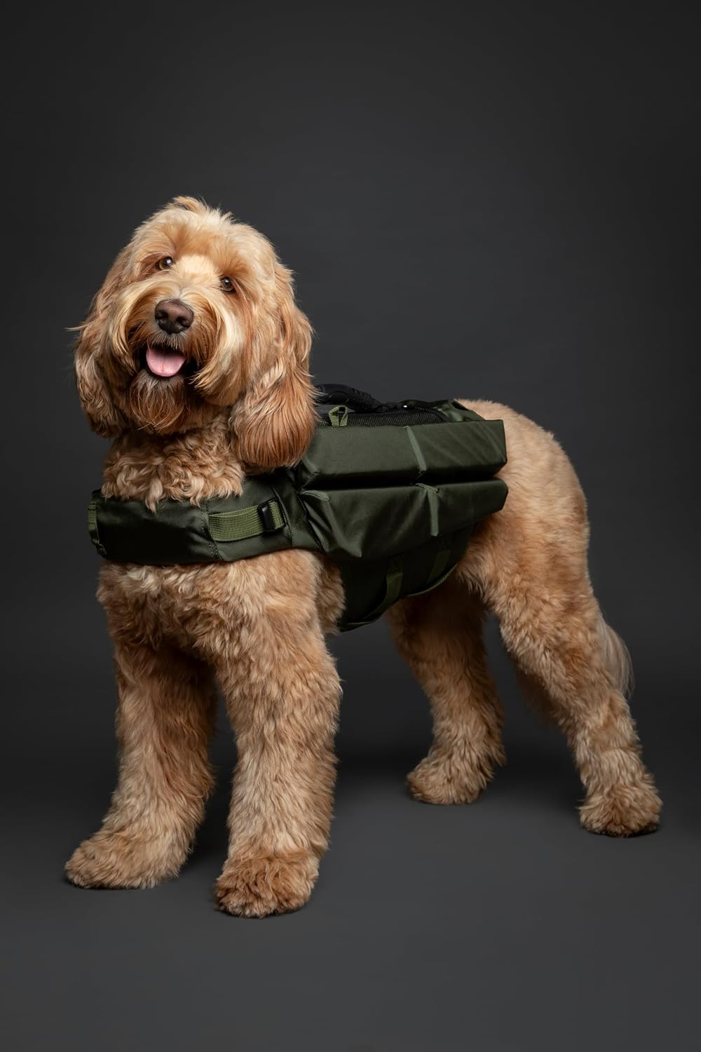 NOAH & PAW Dog Life Jacket, Human Standards Lifejacket Design, Dog Life Vest for Swimming and Boating, 3X Foam Support for Max Floating, Breathable Mesh, Salvavidas para Perros, Size M